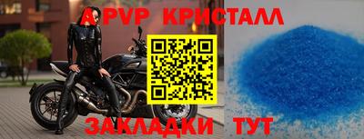 шишки Дубна