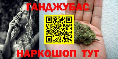 шишки Дубна