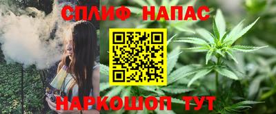 шишки Дубна