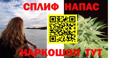 шишки Дубна