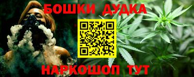 шишки Дубна