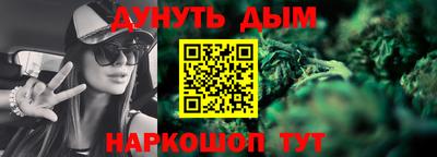 шишки Дубна
