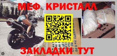 шишки Дубна