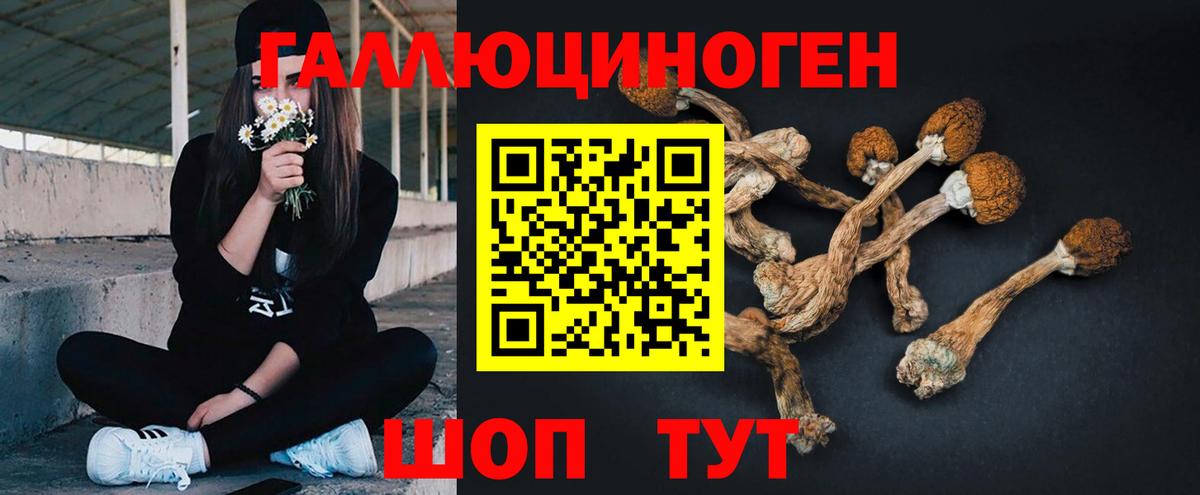 Псилоцибиновые грибы MAGIC MUSHROOMS  Вход с VPN  Лесосибирск  Галлюциногенные грибы GOLDEN TEACHER 